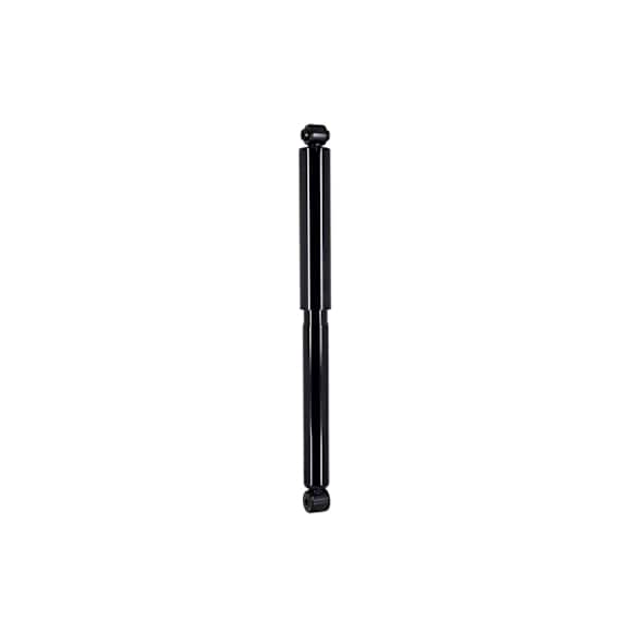 342556 Rear, Driver or Passenger Side Shock