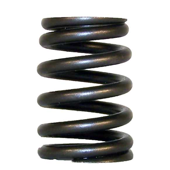 53010388 Valve Spring - Direct Fit