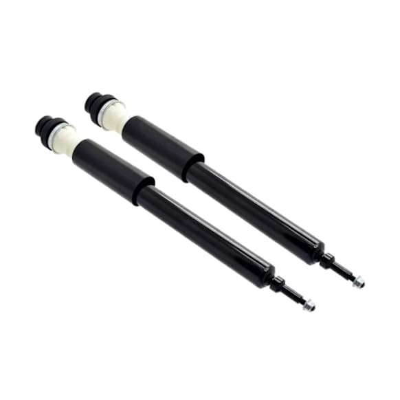 8343359 Rear, Driver and Passenger Side Shock