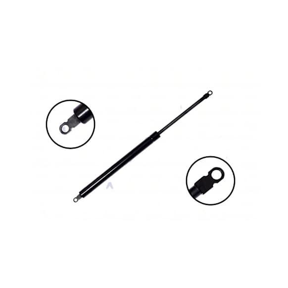84434 Driver or Passenger Side Liftgate Lift Support