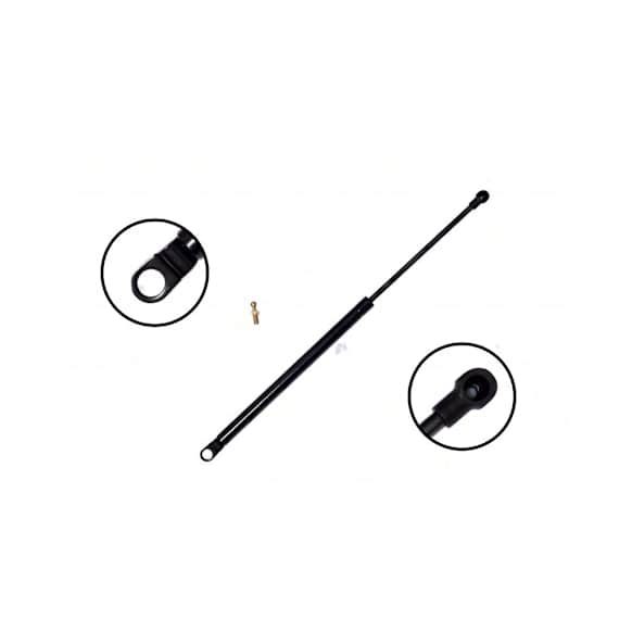 84459 Driver or Passenger Side Liftgate Lift Support