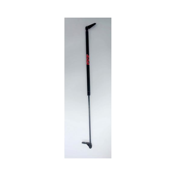 84949R Passenger Side Tailgate Lift Support