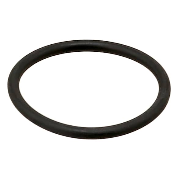 975667 Engine Coolant Pipe O-Ring