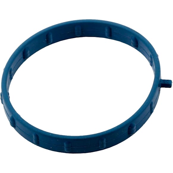 2020 Chevrolet Express 2500 - Direct Fit EGR Tube Gasket, Sold Individually