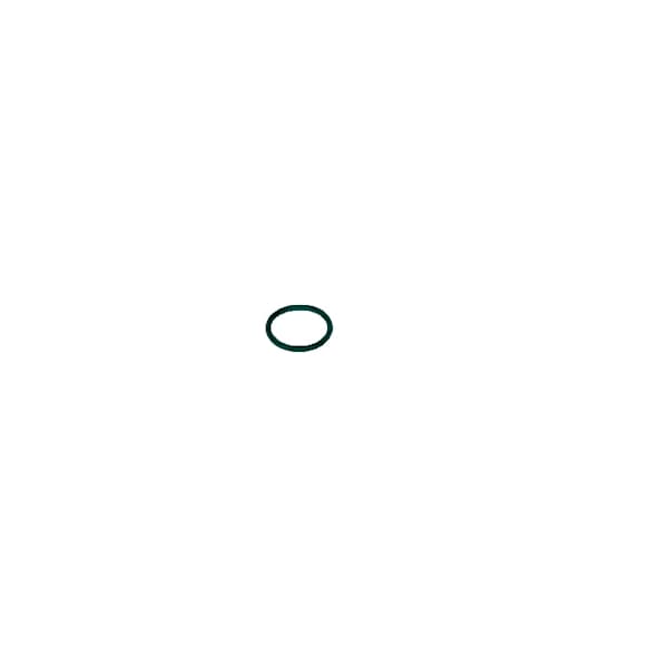 24247757 Automatic Transmission Filter O-Ring - Direct Fit