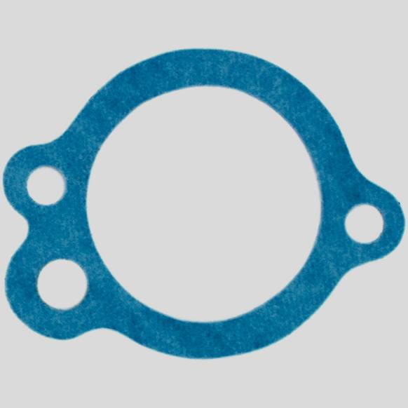 AWO2091 Water Outlet Gasket - Direct Fit