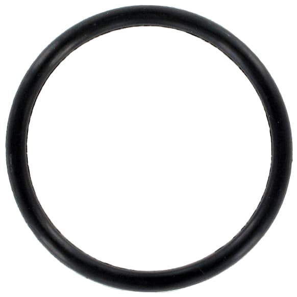 AWO2113 Water Outlet Gasket - Direct Fit