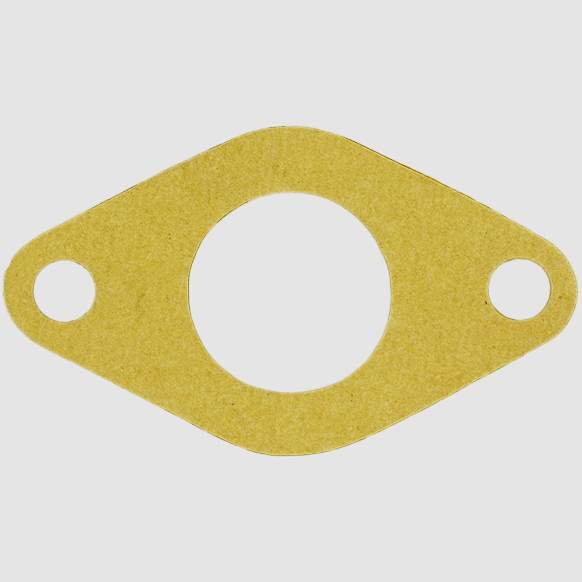 AWP3021 Water Outlet Gasket - Direct Fit