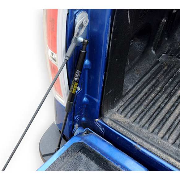 DZ43203 Direct Fit Tailgate Assist, Sold Individually