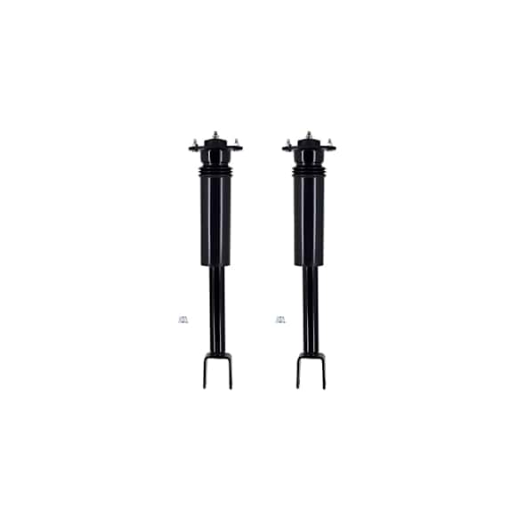 8346347 Rear, Driver and Passenger Side Shock