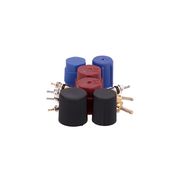 1311570 A/C Caps and Valve Core Seal Kit
