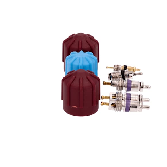 1311574 A/C Caps and Valve Core Seal Kit