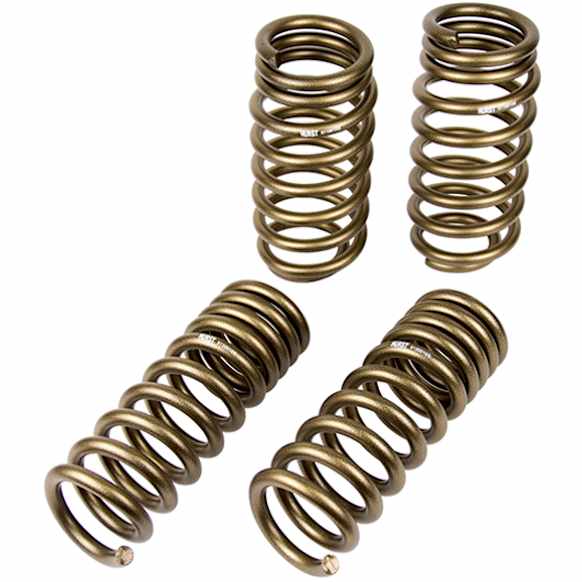 6130010 Lowering Springs - 1 in., 1 in., Set of 4