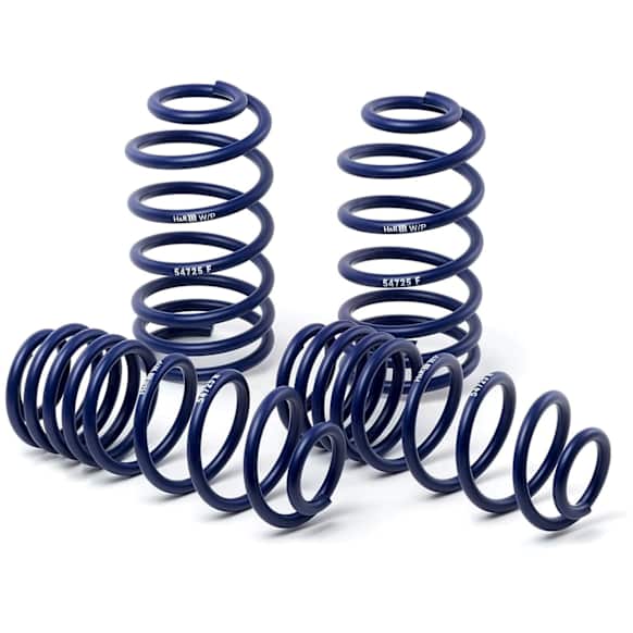 2006 Dodge Charger - Sport Series Front and Rear Lowering Springs - Set of 4