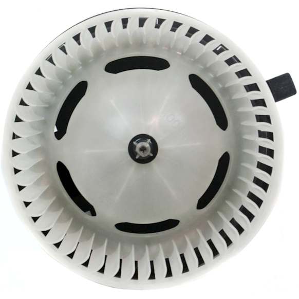 Blower Motor