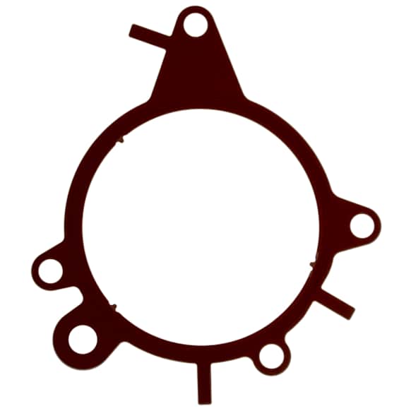 B32630 Vacuum Pump Gasket