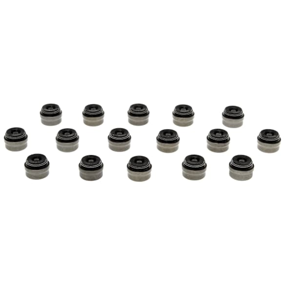 SS46067 Valve Stem Seal - Set of 16