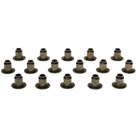 SS46073 OE Replacement Series Valve Stem Seal - Set of 16