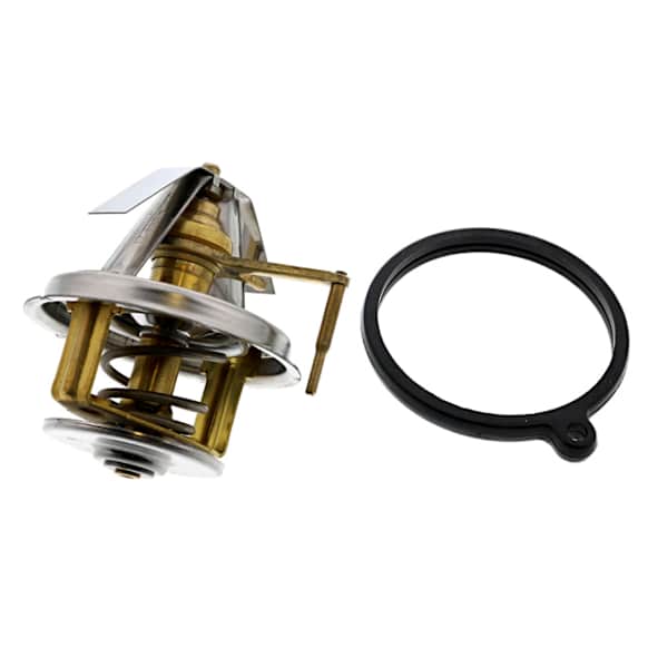 116-200-02-15 Thermostat