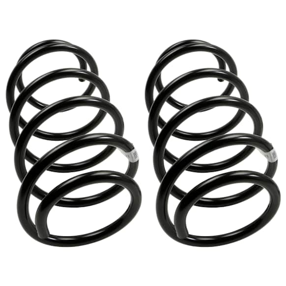 81698 Front Coil Springs, Set of 2 Problem Solver Series