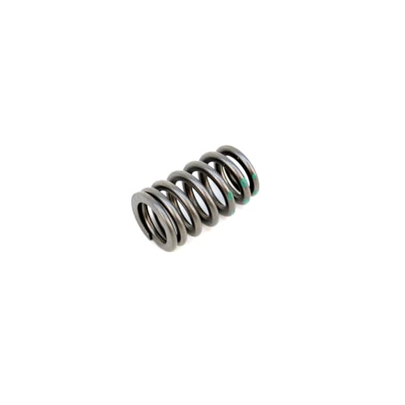 53021887AA Valve Spring - Direct Fit