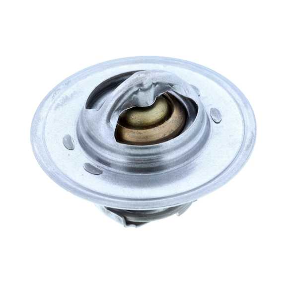 200-170JV Thermostat