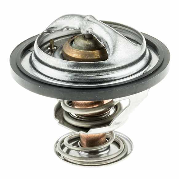 307-160 Thermostat