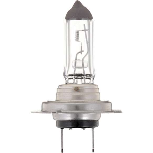 H7B1 Driver or Passenger Side Standard Series Halogen H7 Headlight Bulb, Sold Individually