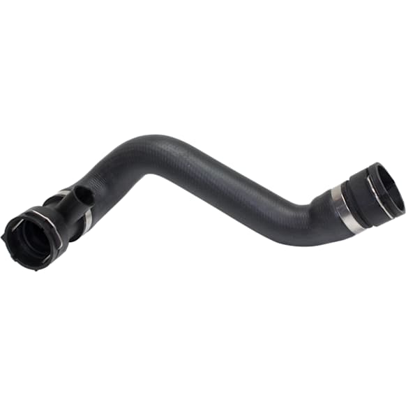 Radiator Hose - Lower, 12 Inches