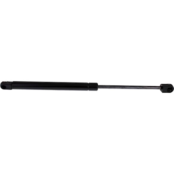 2010 Ford F-150 XLT 8 Cyl 4.6L - Lift Support Hood, Standard Cab Pickup