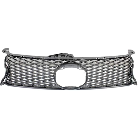 2013-2015 Lexus GS350 - Grille, Gray, 6 Cyl., 3.5L Engine