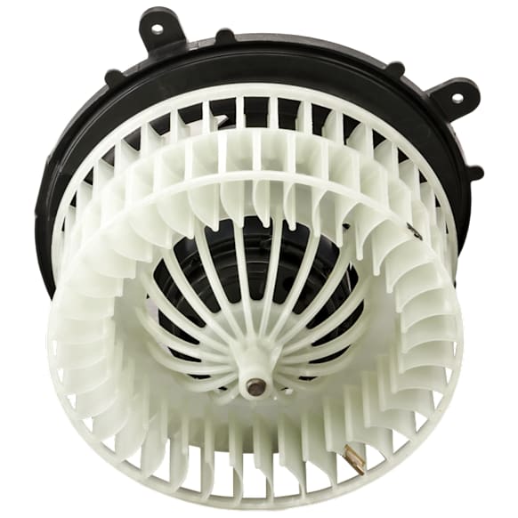 Blower Motor