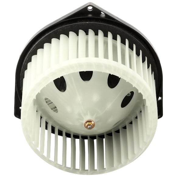 Blower Motor
