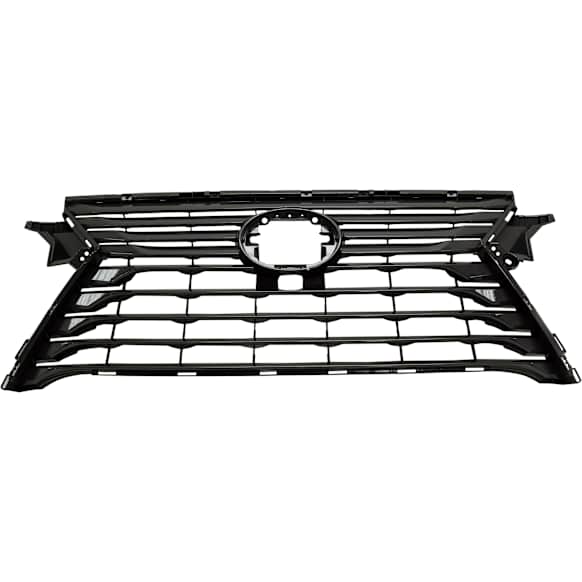 Grille Assembly, Dark Gray Shell and Insert, Base Model, 6 Cyl., 3.5L Engine