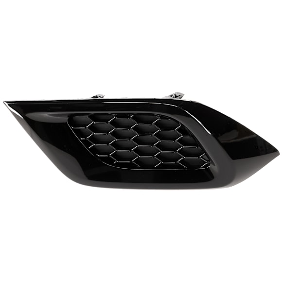 Front, Driver Side Fog Light Cover, Black, Base Model