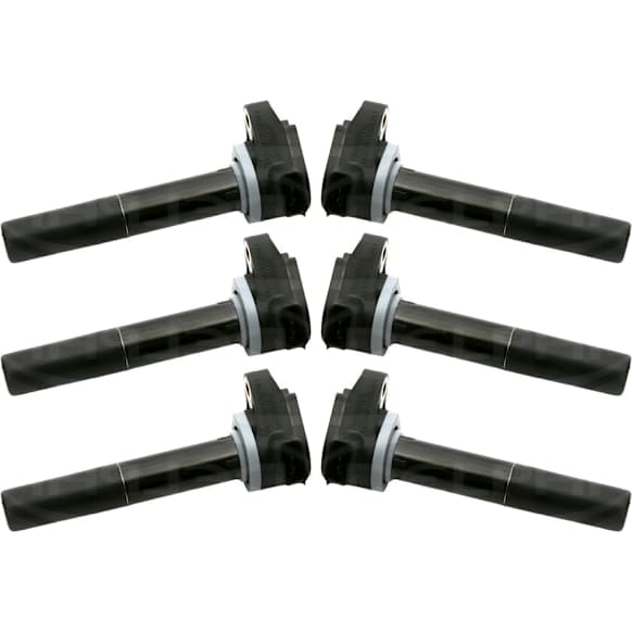 SET-DELGN10168 Ignition Coil, Set of 6