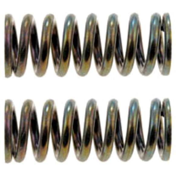 SET-RB38436-2 Door Hinge Spring - Direct Fit, Set of 2