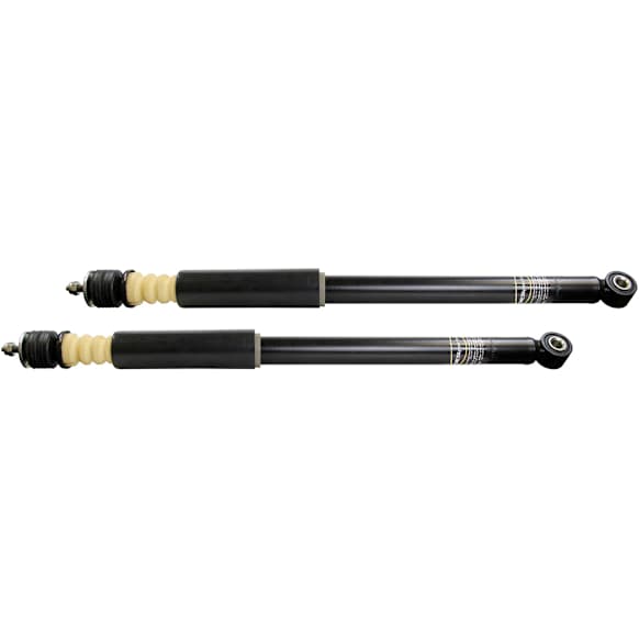 SET-TS5688-2 Rear, Driver and Passenger Side Shock