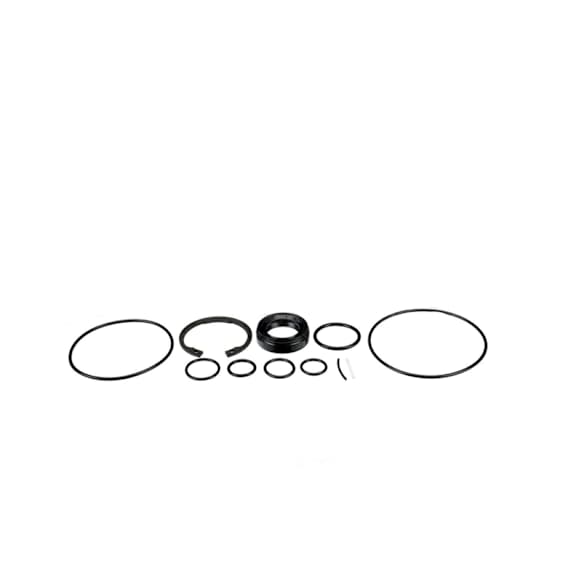 8401613 Power Steering Pump Seal Kit