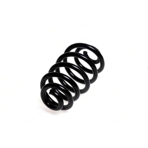 4204257 Rear Coil Springs, Sold individually