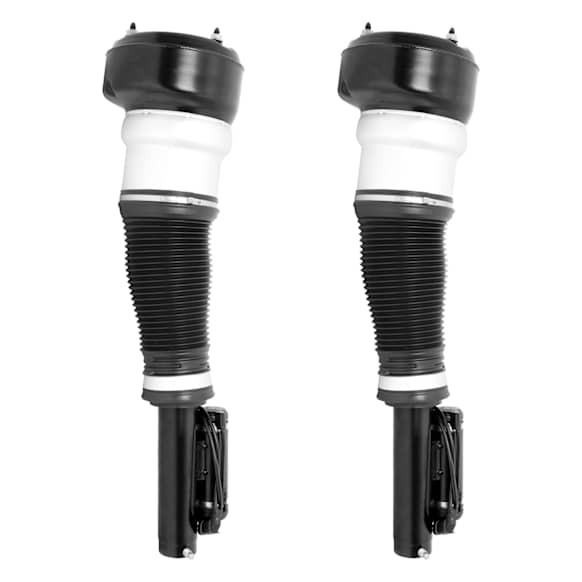 2-28-113600 Front, Driver and Passenger Side Air Strut, RWD