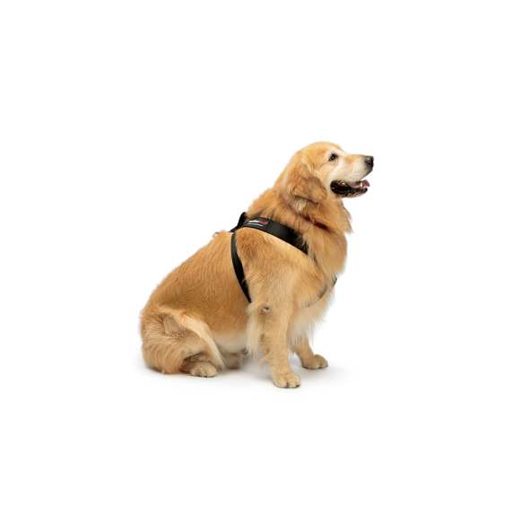 84PH3441BK Universal Pet Safety Harness, Sold Individually