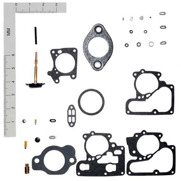 15789C Carburetor Repair Kit - Direct Fit, Kit