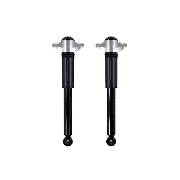 8346561 Rear, Driver and Passenger Side Shock