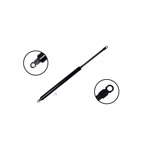 84434 Driver or Passenger Side Liftgate Lift Support