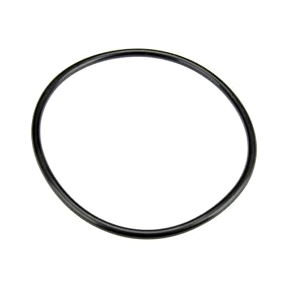 CY0516171 Fuel Pump O-Ring - Direct Fit