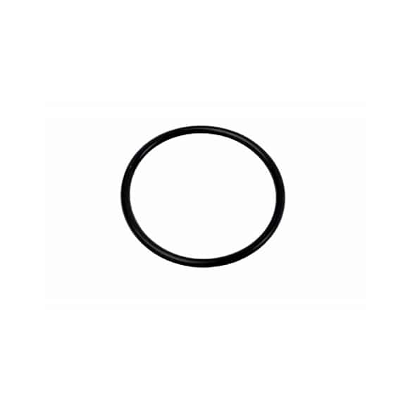 12602379 Fuel Sending Unit O-Ring - Direct Fit