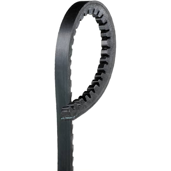 15575 Professional Series Accessory Drive Belt - Direct Fit, Sold Individually