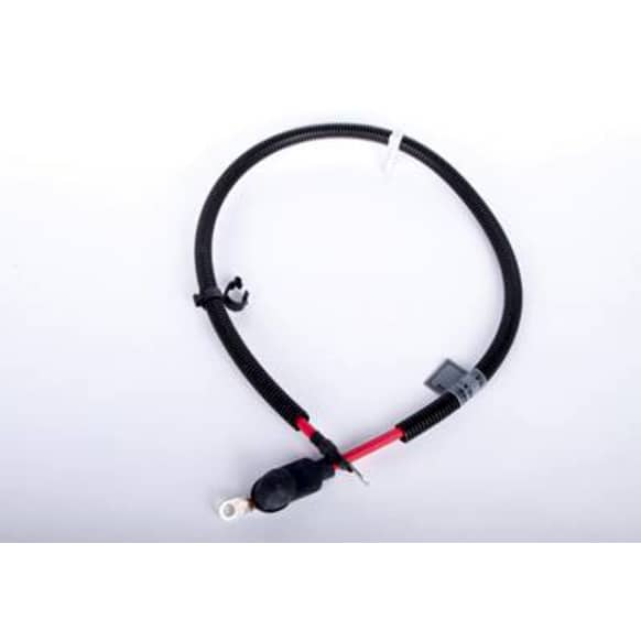 20943125 Jumper Cables