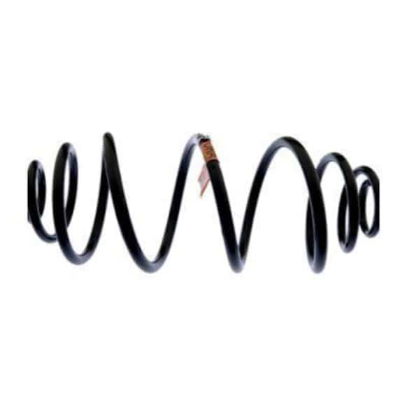 22714392 Rear Coil Springs, Sold individually Professional Series